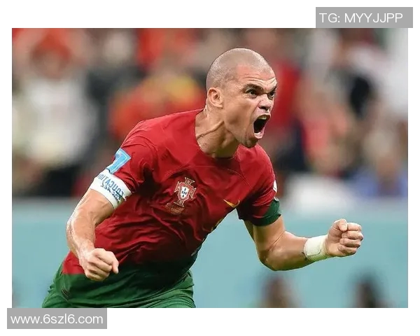 2016年葡萄牙与瑞士精彩对决回顾与分析 2016年葡萄牙与瑞士精彩对决回顾与分析