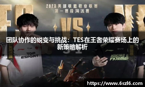 团队协作的蜕变与挑战：TES在王者荣耀赛场上的新策略解析