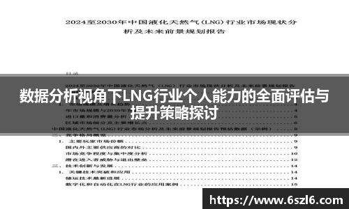 数据分析视角下LNG行业个人能力的全面评估与提升策略探讨