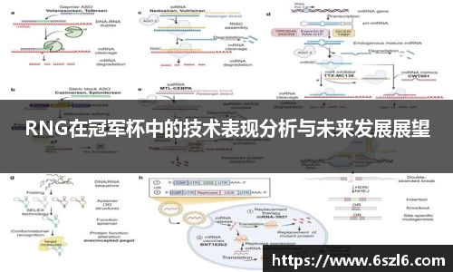 RNG在冠军杯中的技术表现分析与未来发展展望